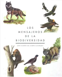 Imagen del producto 9788409083015