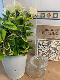 Imagen del producto 9788409146536