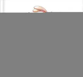 Imagen del producto 9788409578238