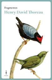 Imagen del producto 9788409582594