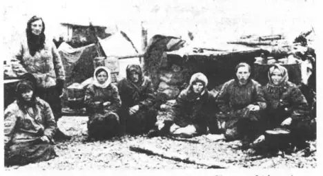 Imagen del producto 9788410672147