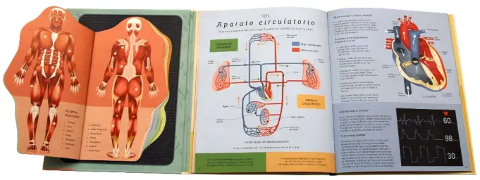 Imagen del producto 9788410841383