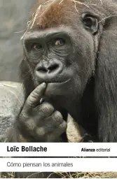 Imagen del producto 9788411489461