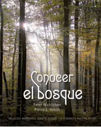 Imagen del producto 9788411721974