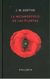 Imagen del producto 9788412074345