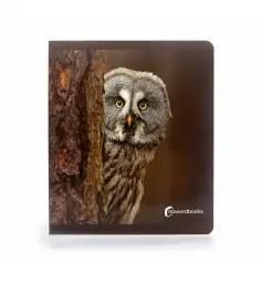 Imagen del producto 9788412344578