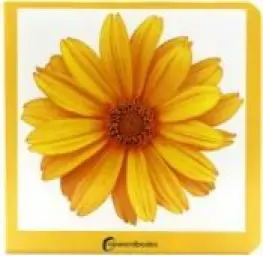 Imagen del producto 9788412534429