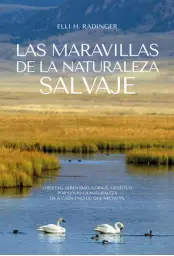 Imagen del producto 9788412724165