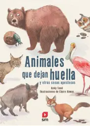 Imagen del producto 9788413181639