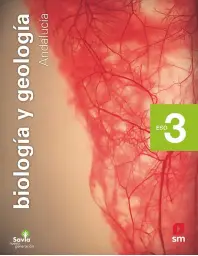 Imagen del producto 9788413184807