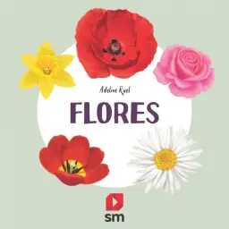 Imagen del producto 9788413188638