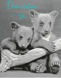 Imagen del producto 9788413431161