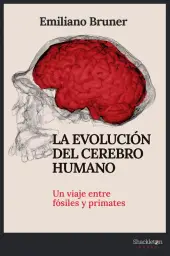 Imagen del producto 9788413612249