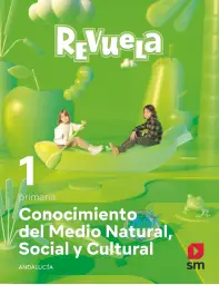 Imagen del producto 9788413924700