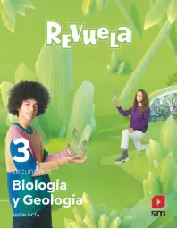 Imagen del producto 9788413927916