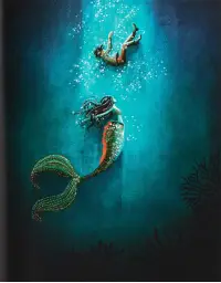 Imagen del producto 9788414061503