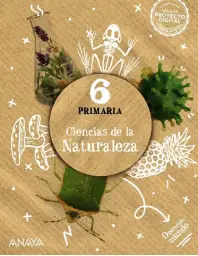 Imagen del producto 9788414323403