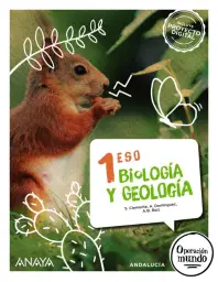 Imagen del producto 9788414335987