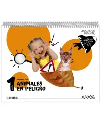 Imagen del producto 9788414337264