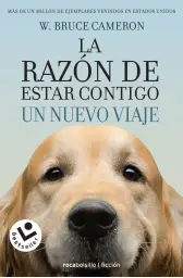 Imagen del producto 9788416240999