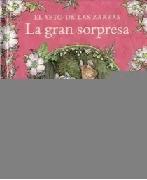  Imatge del producte9788417059934