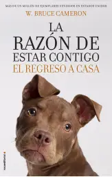 Imagen del producto 9788417092887