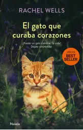 Imagen del producto 9788417128173