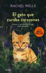 Imagen del producto 9788417128173