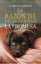 Imagen del producto 9788417167103