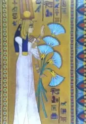 Imagen del producto 9788417350277