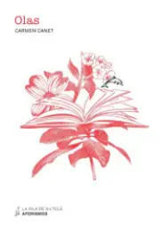 Imagen del producto 9788417352653