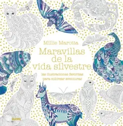 Imagen del producto 9788417492243