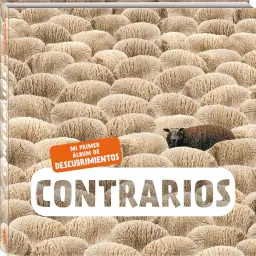  Imatge del producte9788417497316