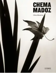 Imagen del producto 9788417769673