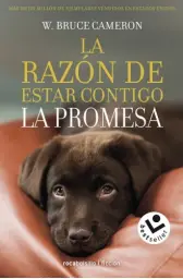 Imagen del producto 9788417821432