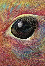 Imagen del producto 9788418702563