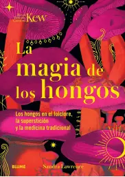 Imagen del producto 9788419094834