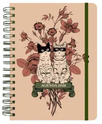 Imagen del producto 9788419215673