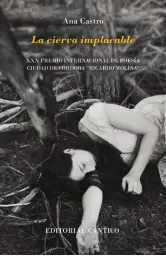 Imagen del producto 9788419387349