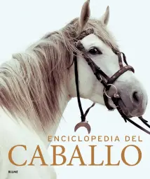 Imagen del producto 9788419785749