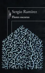 Imagen del producto 9788420414058