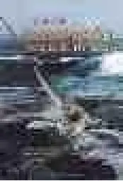 Imagen del producto 9788426132222