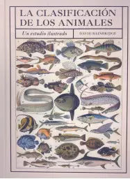 Imagen del producto 9788428217521