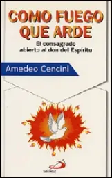 Imagen del producto 9788428521277