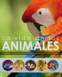Imagen del producto 9788428536691
