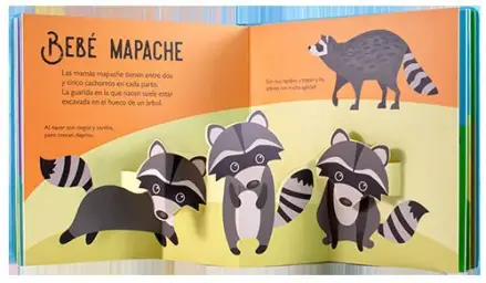 Imagen del producto 9788428570268