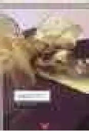 Imagen del producto 9788428807999