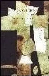 Imagen del producto 9788430114207