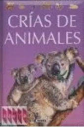 Imagen del producto 9788430561087