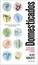 Imagen del producto 9788432234828